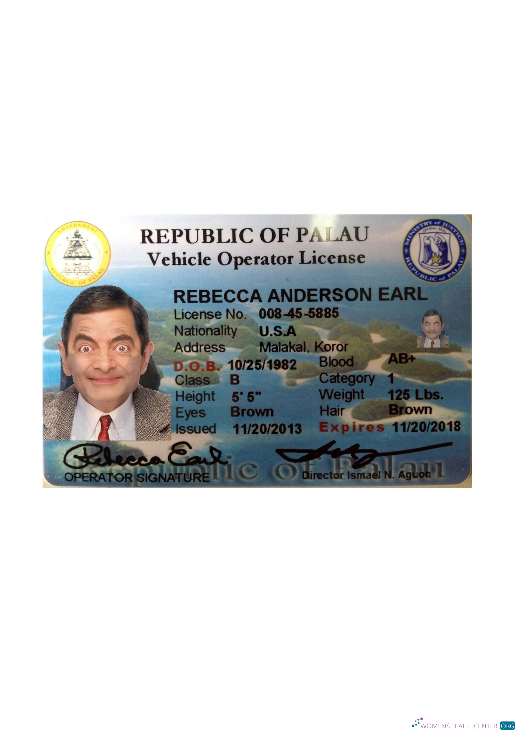download Palau driving license front side